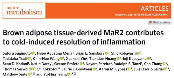 天冷有助于减肥？难怪最仅体重直线飞腾，这样热还怎么瘦？